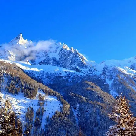 77 Le Majestic In Center Chamonix